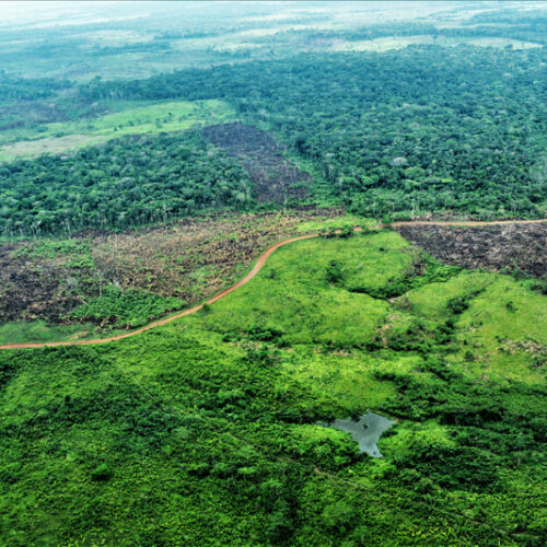Colombian Amazon