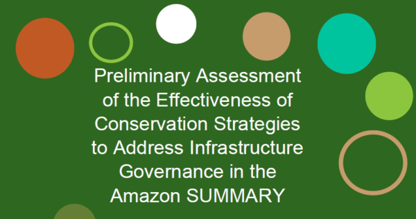 Tools and Strategies Preliminary Assessment