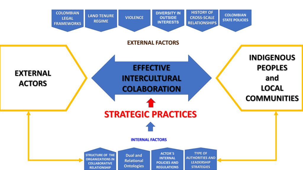 Stakeholder and Organizational Analysis