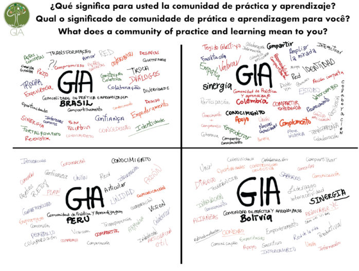 COP-L Meaning Banderon